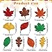 120 Pcs Glitter Paper Leaf Cutouts Fall Bulletin Board Cut Outs Fall Paper Leaf Cutouts Fall Cardboard Cutouts for Autumn Bulletin Board Classroom Thanksgiving Decor (Leaf)