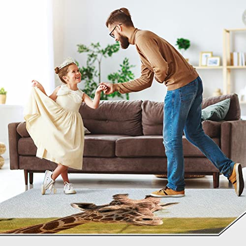 Rugs Machine Washable Area Rug With Non Slip Backing For Living Room, Bedroom, Bathroom, Kitchen, Printed Home Decor, Floor Decoration Carpet Mat, Prairie Animal Giraffe #TOP5