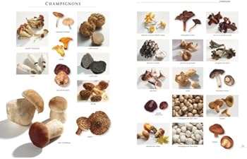 Amazon | Le Grand Larousse Gastronomique | Robuchon, J., Collectif