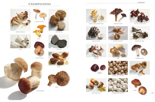 Le Grand Larousse Gastronomique