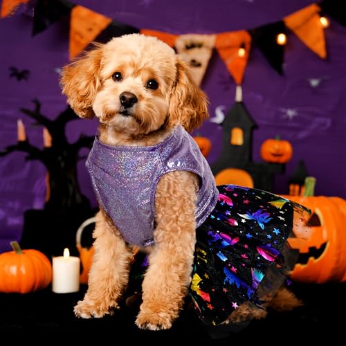 Disfraz Halloween para Perro Vestido Bruja Talla M miniatura 3