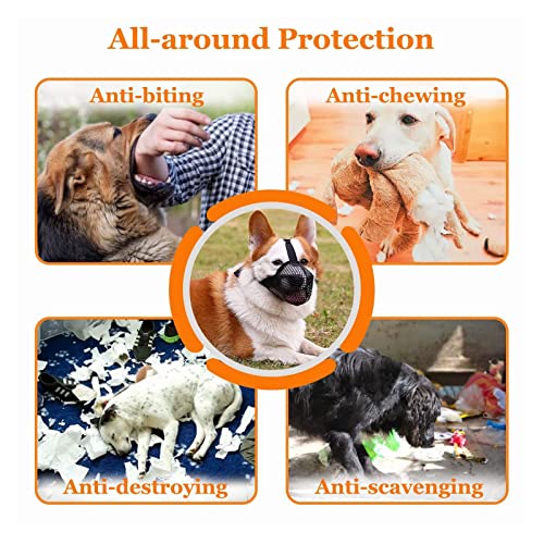 Museruola per Cani Rete Morbida Protezione per