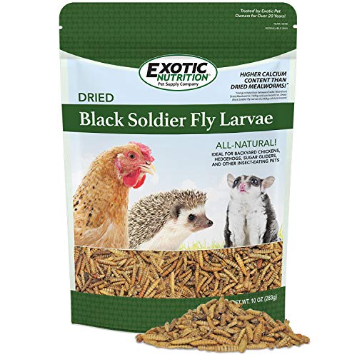 Bulk Dried Black Soldier Fly Larvae (10 oz.) - High-Calcium Insect Treat - Chickens, Wild Birds, Hedgehogs, Bluebirds, Reptiles, Sugar Gliders, Opossums, Skunks, Lizards, Bearded Dragon, Fish