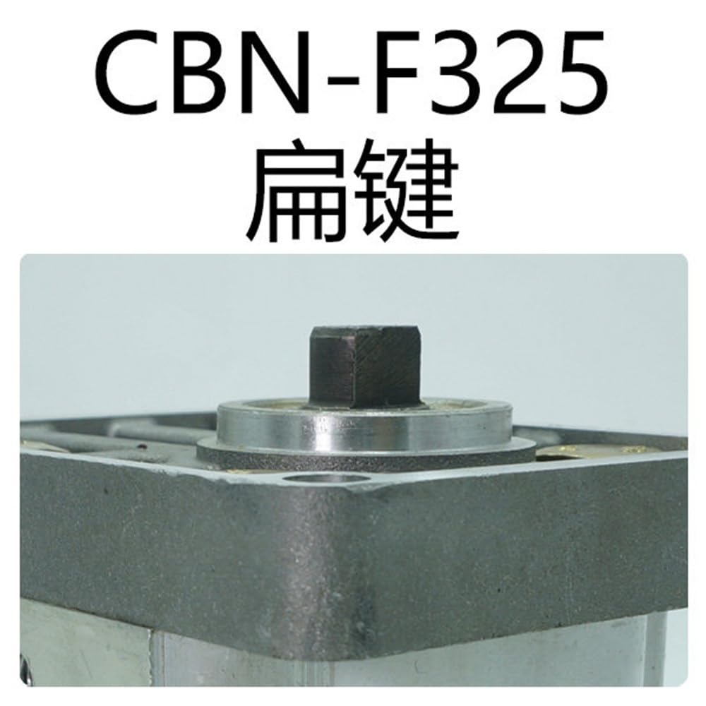 Pompa dell'olio idraulico Ingranaggio ad alta pressione CBN-F304 306 308 1 pz | Pompa dell'olio idraulico Ingranaggio ad alta pressione CBN-F304 306 308 1 pz(CBN-F325 左扁键)