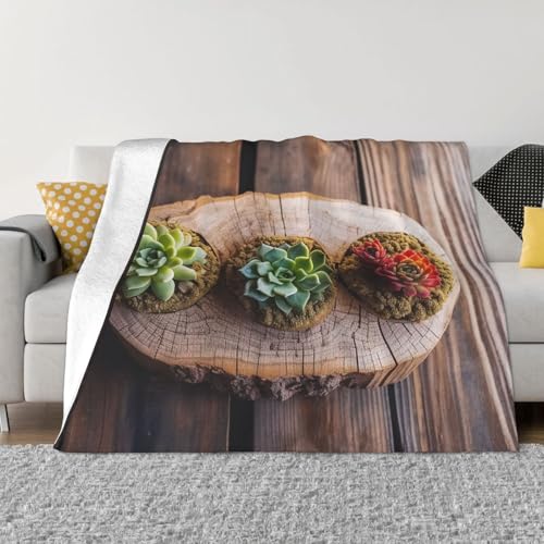 Couverture microfibre douce pour vos soirées cocooning sur le canapé - 2