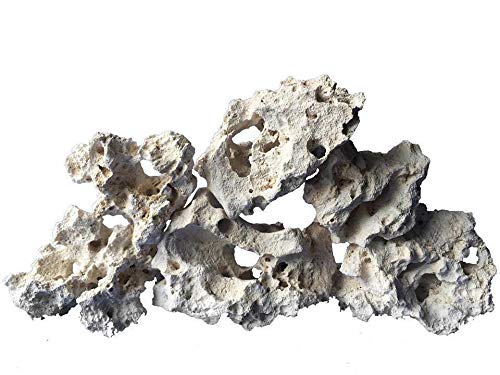 TM Aquatix Aqarium Ocenan Rock Fish Tank Decoration Holey Stones Hard Water Malawi Cichlid WEIGHT: 2 KG, GRADE: A