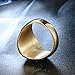 INRENG Stainless Steel Vintage Freemason Masonic Rings for Men Signet Biker Ring Band All Gold Size 10