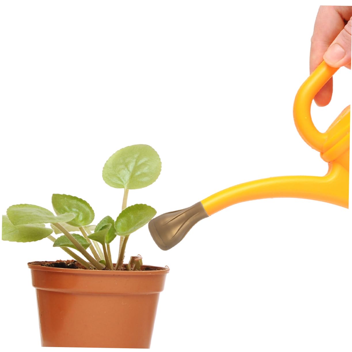 TOYANDONA 12stücke Sprinklerkopf Für Gießkanne Langlebiger Sprühaufsatz Für Gartenbewässerung Einfach Zu Reinigen Lagern Für Blumen Und Pflanzenpflege