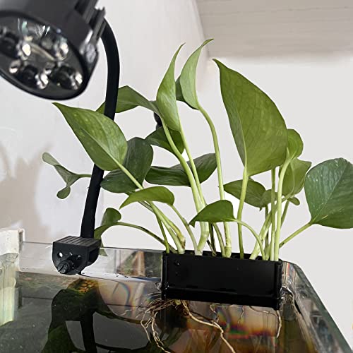 Ysnsgmn 2Pc Upgraded Aquatic Plant Cup Aquarium Plant Holder For Rimmed Tank - Perfect For Fish Tank Aquaponic Plant Cultivation And Aquascape Decorations On Top Of Tank (A2-Long Hook) #TOP5