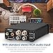 Nobsound Mini Dual TPA3116 Digital Power Amplifier HiFi Stereo Amp Audiophile-Grade 2.0 Channel 100W×2 NE5532P Pre-Amp (Black)