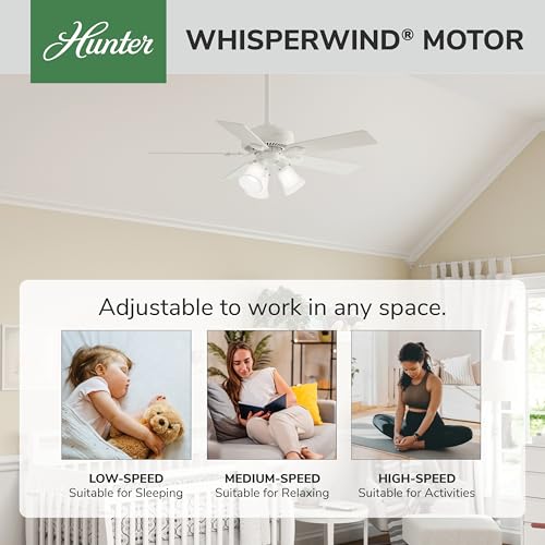 Image of Hunter Swanson, Indoor, Ceiling Fan, with LED Lights, 44 inch, Fresh White