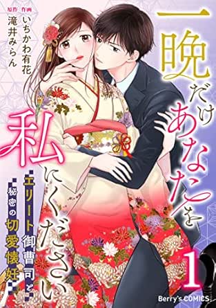 一晩だけあなたを私にください～エリート御曹司と秘密の切愛懐妊～