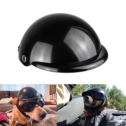 8 Best Dog Motorcycle Helmets, Goggles, & Combo Kits!