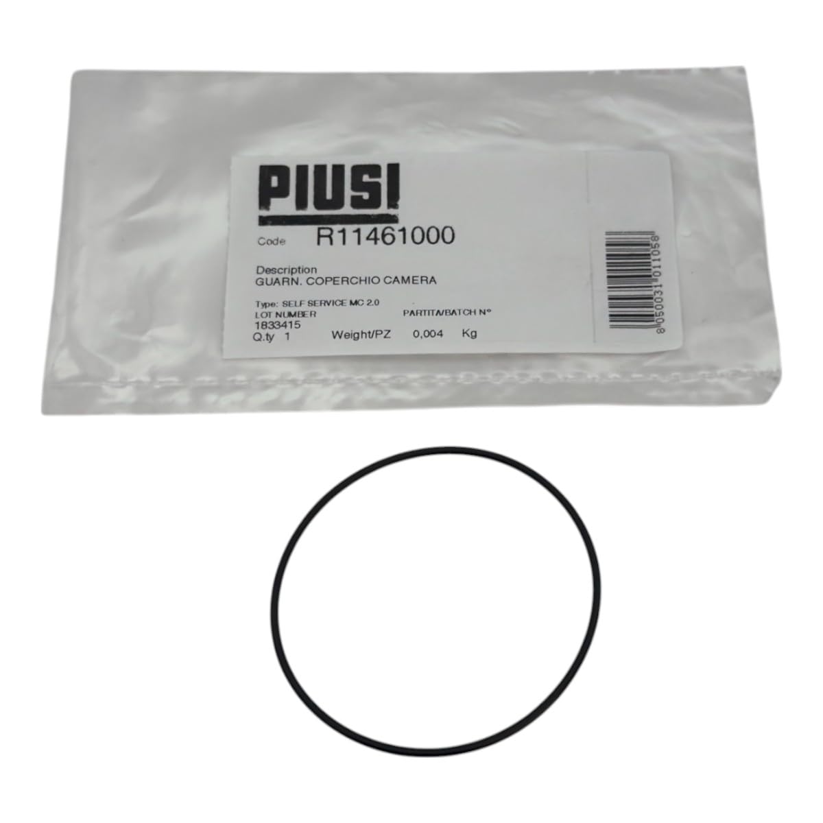 PIUSI Set Kit Ricambi Panther AC 56/72/90, completo di Guarnizione, Tenuta Albero Motore, Filtro, By-Pass, Set Palette + Molle