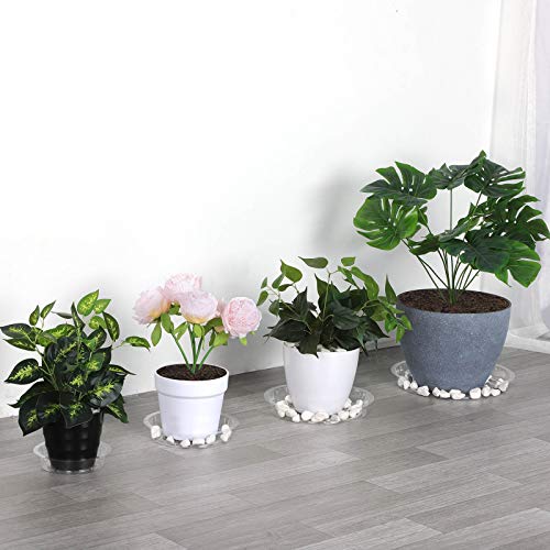 Growneer PSAUCER-24 Pack Of 6, 8, 10, 12 Inches Clear Plant Saucers Flower Pot Trays thumb #1