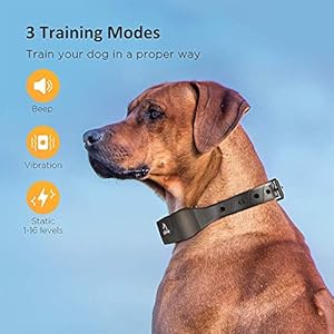 PATPET Dog Training Collar for Large Dogs - IPX7 Waterproof E Collar for Dogs Training with Beep, Vibration and Static Modes PATPET Dog Training Collar for Large Dogs IPX7 Waterproof E Collar for Dogs Training with Beep Vibration and Static Modes