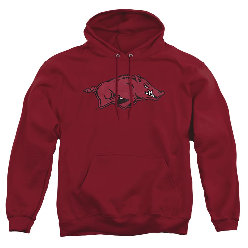 LOGOVISION Official Collegiate Distressed Primary Logo Adult Pullover Hoodie Collection — view 192