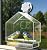 CoziBird Window Bird Feeder with Ultra Strong Suction Cup - Large Clear Acrylic Weatherproof Birdhouse (Heavy Duty Suction Grip)