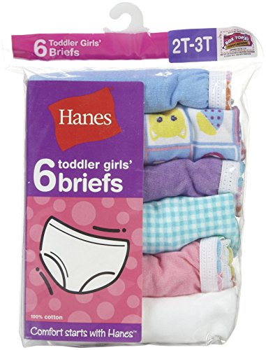 Hanes Girls' Toddler 6-Pack Brief2