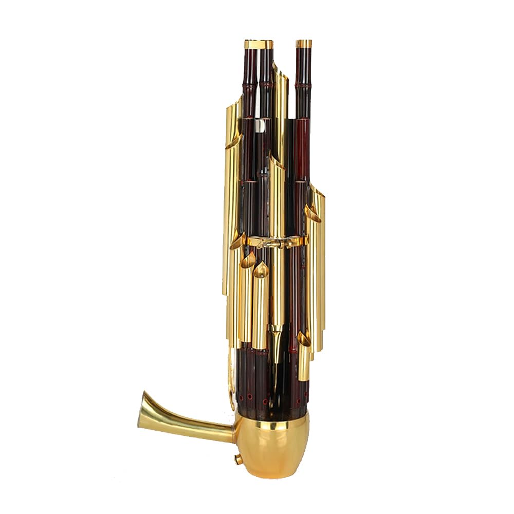 Strumento A Fiato in Bambù Viola A 21 Ance, in Re Maggiore, Include Accessori E Custodia, Adatto Per Spettacoli Bandistici,B