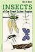 Insects of the Great Lakes Region (Great Lakes Environment)