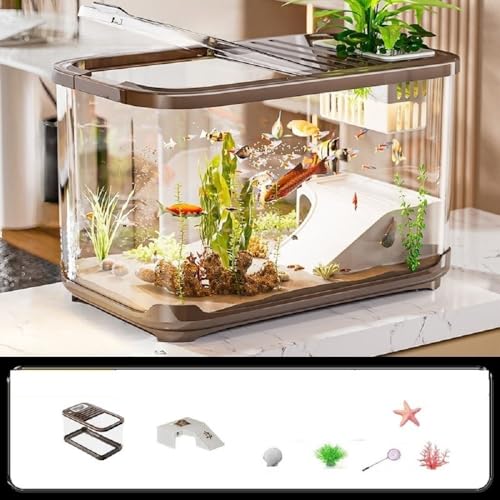 Sariny^Zbg Wt rO[ Ƃ̑ ȐԊwI^N fXNgbṽJ  ȒPa Ϗܐ gщ\ ʋCE ʊϏ CeA (R[q[F,fbNXi[Wj)