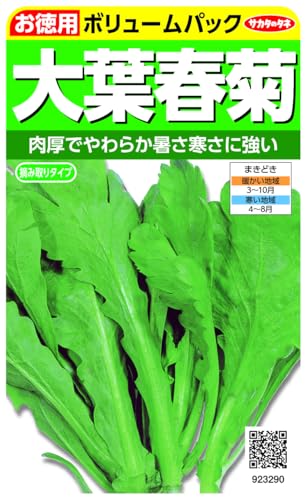 TJ^̃^l 3290 tte (p)