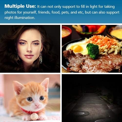 JISULIFE Selfie Clip on Ring Light, Mini Rechargeable 9 Level Adjustable Brightness Light with 32 LED, 2-8 Hours, USB Flash Lighting for iPhone/Android Cell Phone Photography,Video, Vlogging - Pink