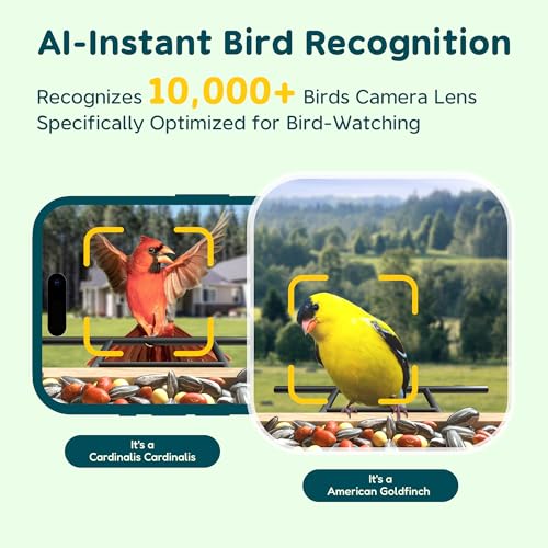 1.5L TT Nature Solar Smart Bird Feeder w/ 1080P AI Camera - image 3