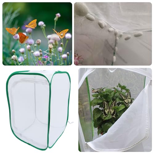 Jaula para mariposas de malla clara: protege y observa insectos de forma estable 5