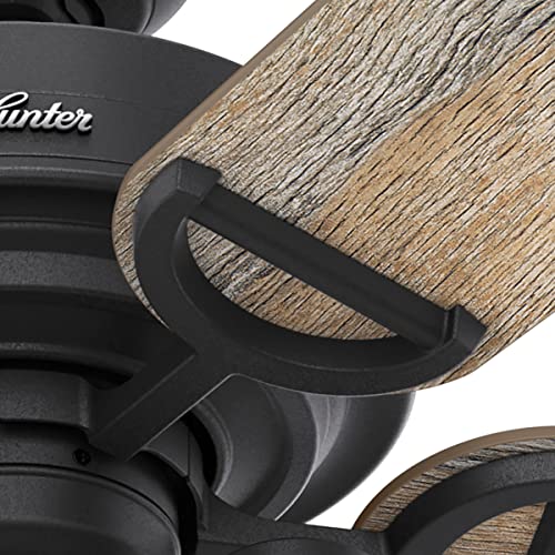 Hunter Fan Company 50409 Hunter Rustic 52 Inch Starklake Indoor or Outdoor Ceiling Fan with 3 LED Edison Bulbs, Pull Chain Control, and Quiet 3 Speed Motor, 52, Natural Iron finish - Image 7