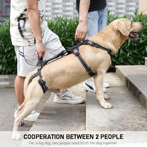 COODEO Mobility Dog Lift Harness, Support Sling & Walking Sling for Dogs, Pet Rear Leg Rehabilitation Support Vest, Dog Carrier for Senior Dogs with Joint Injuries, Arthritis, Up Stair (Black, M) - Image 4