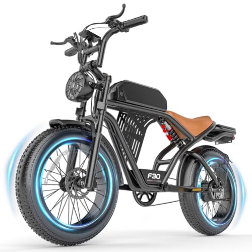 Misodo 2500W Fat Tire Electric Dirt Bike