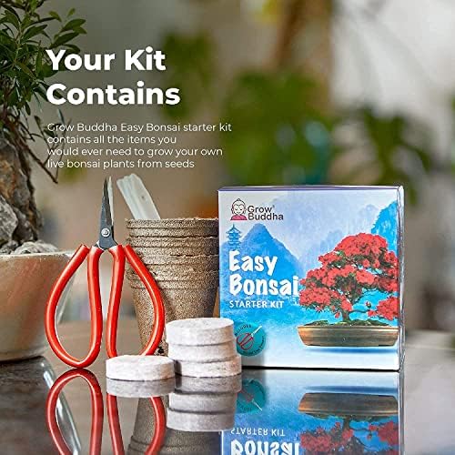 Bonsai Tree Kit | Grow Your own 8 Beautiful Bonsai Tree Varieties at Home| Complete Growing kit  Suitable for Beginners to Experts - Grow Indoor Plants  Memorable Gift for Women, Men and Children