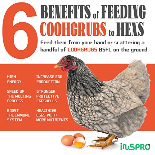 COOHGRUBS Premium Grade Dried Black Soldier Fly Larvae for Chickens and Other Poultry 5 lb. Box - Image 4