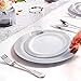 WDF 100 pieces Silver Plastic Plates - Christmas Plates Disposable Plastic Plate with Silver Rim - include 50-10.25