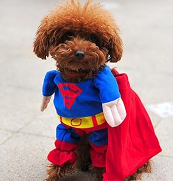 Amazon ペット服 ペット用 スーパーマンスコスチューム 犬服 前掛けタイプ 小型犬向け M 首囲約24 28cm 着丈約26cm 清河テック コスチューム 通販 Amazon ペット服 ペット用 スーパーマンスコスチューム 犬服 前掛けタイプ 小型犬向け M 首囲約24 28cm 着丈約26cm 清河テック コスチューム 通販