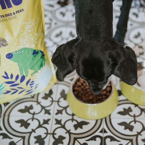Hundefutter Boons Iberisches Schweinefleisch (für Hunde Aller Größen geeignet) Größe 100 g