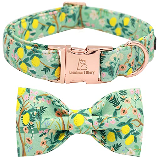 Lionheart Glory Premium Floral Dog Collars, Bowtie Dog Collar, Adjustable Heavy Duty Girl Dog Collar With Bow For Medium Dogs #TOP14