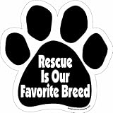 Imagine This Paw Car Magnet, Rescue is our Favorite Breed, 5-1/2-Inch by 5-1/2-Inch