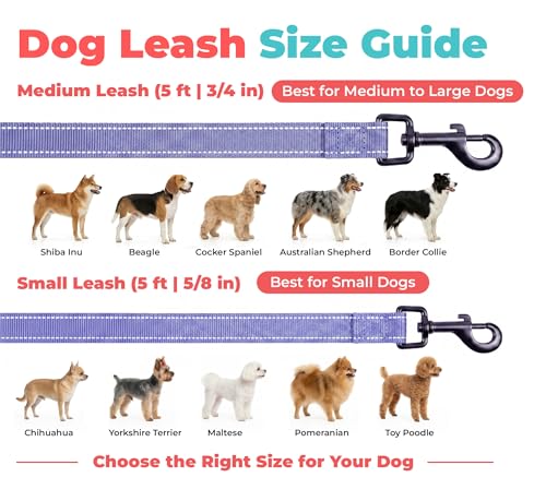 Image of Best Pet Supplies Voyager Reflective Dog Leash or Collar with Neoprene Handle, for Small, Medium, and Large Breed Puppies, Cute and Heavy Duty for Walking, Running and Training - Lavender (Leash), M
