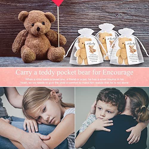 Zhanmai Set Of 12 Mini Plush Bears Little Pocket Bears Sympathy Gift For Kids Inspirational Bear Hug Gift Card Party Favors White Organza Bags (Blush Bear, 12 X 7 Cm) #TOP5