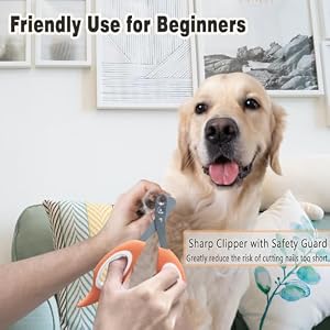 Dog & Cat Nail Clippers & Trimmers for Beginners, Pets Dematting Deshedding Brush Comb for Long Haired Pet,Safe Detangler for Matted Hair,3 Packs Professional Grooming Tool for Puppy & Kitten Dog & Cat Nail Clippers & Trimmers for Beginners, Pets Dematting Deshedding Brush Comb for Long Haired Pet,Safe Detangler for Matted Hair,3 Packs Professional Grooming Tool for Puppy & Kitten