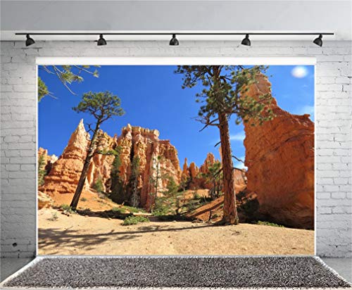 YongFoto 2,2x1,5m Sfondo Fotografico Paesaggio