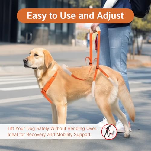 Image of Sling for Dogs Back Legs Rear Support Harness for Paralyzed or Handicapped Pets Assistance Lift Slings for Hind Leg Mobility Small Dog Handicap Supplies for Joint Injuries and Stability (Orange)