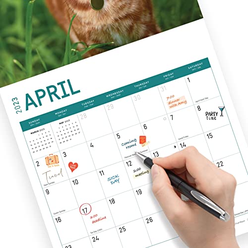2023 Cats Wall Calendar By Bright Day, 12X12 Inch, Cute Adorable Pet Kitten Photography #TOP4