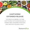 NaturesPlus Herbal Actives Extended Release Hawthorne - 30 Tablets - Vegetarian, Gluten Free - 30 Servings