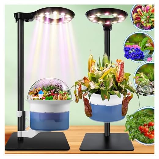 Smart Terrarium Kit for Indoor Plants