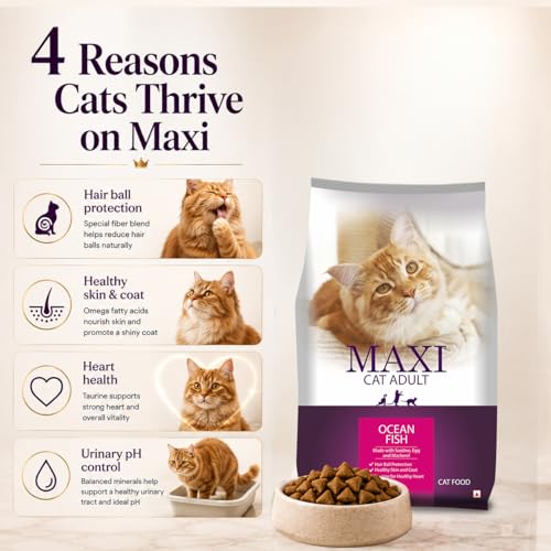 Image of Maxi Ocean Fish Dry Cat Food 1.2kg, Adult