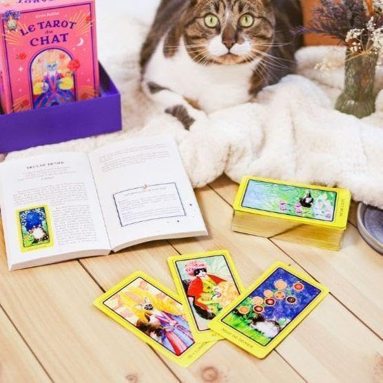 ☆正規品タロットカード☆フランスの激かわデッキ✨キュートな猫たちの